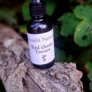 red clover tincture