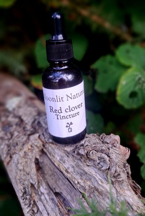 red clover tincture