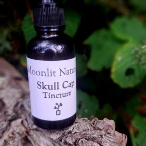 Skullcap Tincture