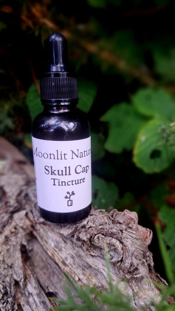 Skullcap Tincture